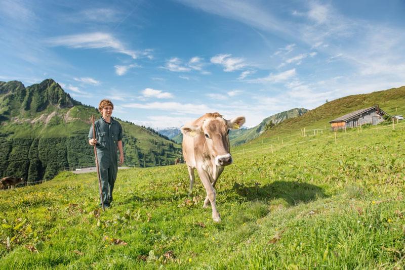 Ferienwohnungen Schantl 施科佩尔瑙 外观 照片